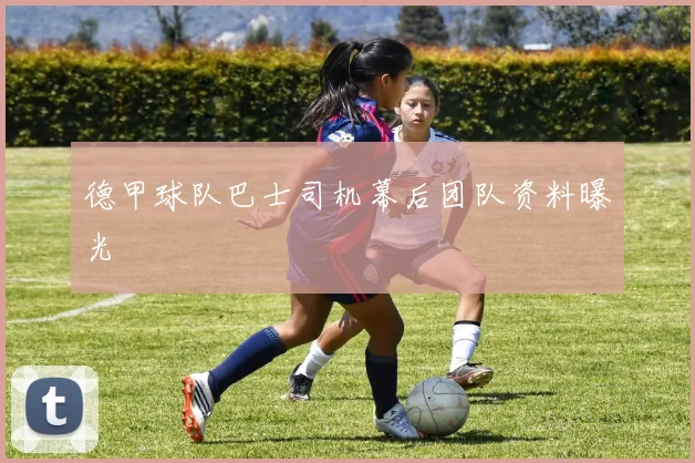 德甲球队巴士司机幕后团队资料曝光