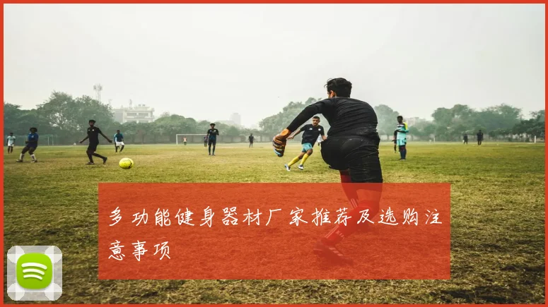 多功能健身器材厂家推荐及选购注意事项